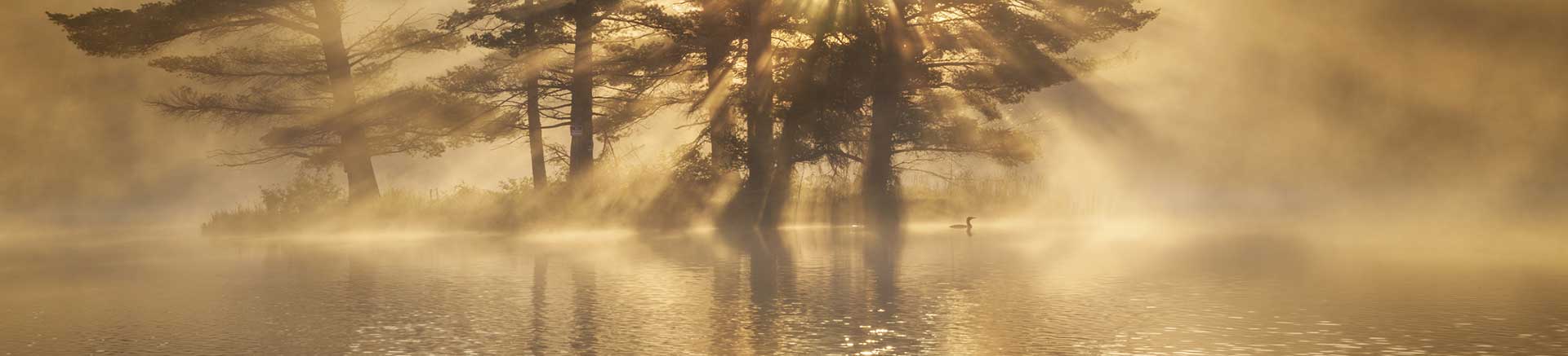 TMS-therapy-depression-minnesota-minneapolis (1)